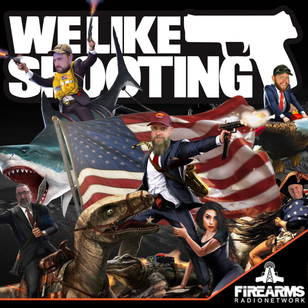 We Like Shooting cover